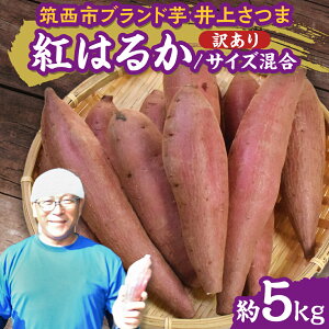 yӂ邳Ɣ[Łzy 悵̂ z󂠂 コ u g͂邩 v TCY 5kg ( Iׂ yt / yȂ ) n ܂   Ă   ܂؂悵