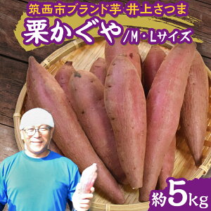 yӂ邳Ɣ[Łzy 悵̂ z コ u I v MELTCY 5kg (Iׂ yt / yȂ ) ʍ͔| ʍ͔|_Y uh n ܂   Ă  