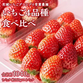 【ふるさと納税】【 茨城いちごグランプリ 受賞 農園 】 完熟 いちご 4品種 食べ比べ セット イチゴ 苺 フルーツ 果物 果実 いばらキッス ひたち姫 とちおとめ やよいひめ よつぼし すず はるひ かおり野 ほしうらら
