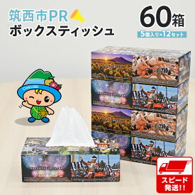【ふるさと納税】スピード発送!! 筑西市PR ボックスティッシュ 60箱 ( 5個入り × 12セット ) 1箱200組 400枚 パルプ100% 非売品 ティッシュ ティッシュペーパー 日用品 消耗品 常備品 まとめ買い スピード配送