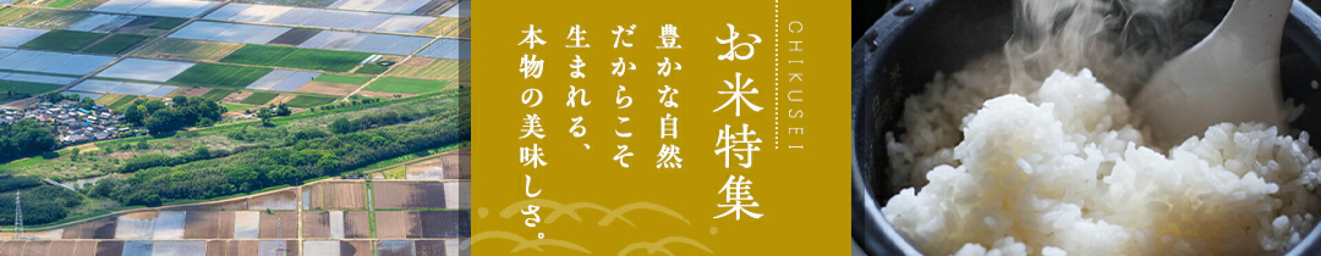 ふるさと納税 筑西市 お米