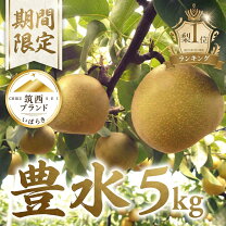 楽天市場】豊水 梨 10kgの通販