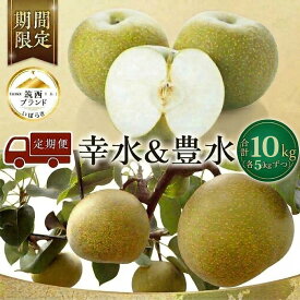 【ふるさと納税】 梨 2種 （ 幸水 ＆ 豊水 ） 定期便 セット ( 選べる 内容量 ) 2026年産 先行予約 なし ナシ 赤梨 食べ比べ 食べくらべ