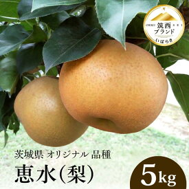 【ふるさと納税】 梨 恵水 5kg 贈答用 茨城県産 和梨 2026年産 先行予約 梨 特選品 特選 なし ナシ 赤梨 筑西ブランド 認証品 旬の梨 果実 甘い 品種 果肉 果汁 果物 くだもの フルーツ デザート 特産品 贈り物 贈答 ギフト 筑西市産 関東 茨城 筑西市 筑西 JA 北つくば