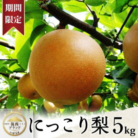 【ふるさと納税】 梨 にっこり 5kg 1箱 なし ナシ 5キロ 旬の梨 和梨 果実 にっこり梨 甘み 甘い 品種 果肉 果汁 たっぷり 果物 くだもの デザート フルーツ おやつ 旬 夏 秋 味覚 2026年産 先行予約 おすすめ 期間限定 数量限定 特産品 茨城県産 JA 北つくば 関東 茨城 筑西