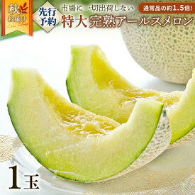 【ふるさと納税】 メロン アールスメロン 1玉 - 5玉 完熟 めろん 選べる 先行予約 甘い 産地直送 特大 果物 くだもの フルーツ デザート 旬 夏 秋 人気 青肉 ジューシー 新鮮 果実 果汁 ご褒美 茨城県産 特産品 期間限定 数量限定 関東 茨城 筑西 2026年産