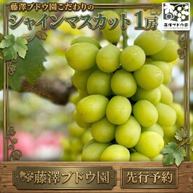 【ふるさと納税】【 藤澤ブドウ園 】 こだわり の シャインマスカット ( 選べる 内容量 ) 2026年産 先行予約 1房 2房 ぶどう ブドウ 葡萄 フルーツ