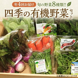 【ふるさと納税】 野菜 8種類 セット 定期便 4回 国産 有機野菜 有機 やさい 農薬不使用 化学肥料不使用 旬の野菜 野菜セット 家庭用 一人暮らし 夏バテ JAS認定 詰め合わせ おまかせ 新鮮 旬 生野菜 やさい yasai 旬の野菜 春 夏 秋 冬 夏野菜 季節 茨城県 筑西市 関東