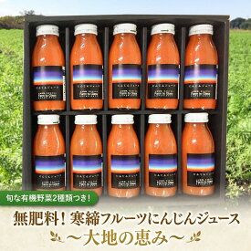 【ふるさと納税】寒締 フルーツ にんじんジュース 計10本 大地の恵み 旬な 有機野菜2種類つき！ JAS認定 ジュース 有機 農薬 化学肥料 不使用 おまかせ にんじん レインボーフューチャー