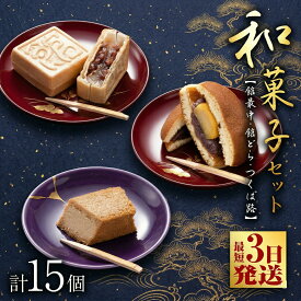 【ふるさと納税】スピード発送!! 【 熨斗 対応品 】湖月庵 人気 和菓子 3種 セット ( 計15個 ) スピード発送 スピード配送 全国菓子博覧会 受賞 館最中 館どら ( 黒糖 バター 栗 ) つくば路 おかし お菓子 最中 もなか あんこ 餡子 小豆 あずき 餅 お餅 もち 贈り物 ギフト