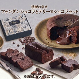 【ふるさと納税】【 禁断の幸せ 】 フォンダンショコラ & テリーヌショコラ セット チョコ チョコレート 生チョコ ショコラ ケーキ デザート スイーツ テリーヌ 贈り物 贈答 ギフト バレンタイン ホワイトデー