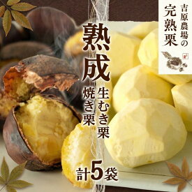 【ふるさと納税】 先行受付 栗 生栗 焼き栗 2種セット 生むき栗 120g × 3袋 焼き栗 200g × 2袋 完熟栗 くり クリ 和栗 わぐり まろん マロン 栗ご飯 栗きんとん ゆでぐり 贈答 贈答用 ギフト 国産 国産栗 果物 フルーツ 秋 旬 秋の味覚 冬 正月 おせち 関東 茨城 筑西