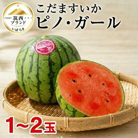 【ふるさと納税】 訳あり 小玉すいか 1玉 2玉 2027年発送 通常 訳アリ わけあり 選べる こだますいか ピノ・ガール 選べる 2027産 先行予約 こだまスイカ 小玉スイカ 西瓜 スイカ デザート 果物 くだもの 夏 ジューシー 旬 お取り寄せ グルメ 産地直送 茨城県 筑西市 関東