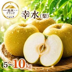 【ふるさと納税】 梨 幸水 5kg 10kg 1箱 なし ナシ 【先行予約】 こうすい 甘い梨 ブランド 果実 甘み ジューシー シャキシャキ 品種 果肉 果汁 たっぷり ずっしり 果物 くだもの デザート フルーツ 高評価 大人気 おすすめ 特産品 茨城県産 JA 北つくば 筑西 茨城