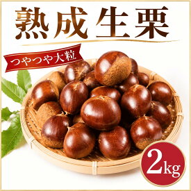 【ふるさと納税】 栗 約 2kg 3Lサイズ くり 生栗 2026年産 大粒 つやつや 秋 旬 旬の味覚 生ぐり なまぐり 和栗 わぐり 先行予約 秋の味覚 マロン まろん 新鮮 国産栗 国産 生くり 甘栗 ゆでぐり 栗ご飯 おせち 栗きんとん 正月 お正月 数量限定 茨城県産 関東 茨城 筑西