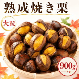 【ふるさと納税】 栗 焼き栗 約 900g 2Lサイズ 300g x 3袋 小分け 便利 熟成 栗 産地直送 先行予約 2026年度産 大粒 つやつや 秋 旬 味覚 焼栗 焼きぐり やき栗 和栗 わぐり 先行受付 マロン 生くり 甘栗 ゆでぐり くり 数量限定 令和8年度産 茨城県産 関東 茨城 筑西
