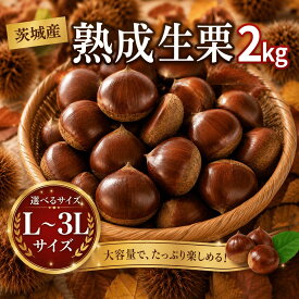 【ふるさと納税】 先行受付 栗 生栗 2kg 大粒 選べる大きさ L / 2L / 3L 令和8年産 完熟 栗 くり クリ kuri / 栗ごはん 栗スイーツ 2026年度産 国産 味覚 生ぐり なまぐり 和栗 わぐり 秋の味覚 マロン 生くり 甘栗 焼き栗 ゆでぐり 料理 和菓子 炊き込みご飯 栗きんとん