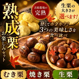 【ふるさと納税】 先行受付 栗 生栗 生むき栗 焼き栗 セット 選べる大きさ 令和8年産 完熟 栗 くり クリ 栗ごはん 栗スイーツ 2026年度産 国産 生ぐり なまぐり 秋の味覚 料理 和菓子 炊き込みご飯 ごはん 栗きんとん 数量限定 贈答 ギフト 旬 秋 冬 正月 おせち