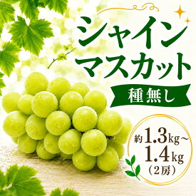 【ふるさと納税】 シャインマスカット 2房 1.3~1.4kg 種無し ぶどう ブドウ 葡萄 フルーツ 果物 旬 甘い 大粒 粒 皮ごと お取り寄せ 化粧箱 ギフト 2026年産 期間限定 贈答用 筑西市 茨城県 関東