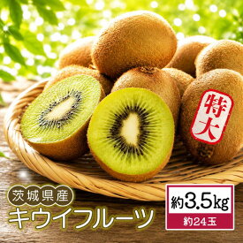 【ふるさと納税】 キウイフルーツ 約 3.5kg 特大 | キウイ きうい 大玉 果物 くだもの 甘い フルーツ 旬のフルーツ デザート スイーツ fruit 果実 果肉 2026年産 産地直送 数量限定 茨城県産 関東 茨城 筑西