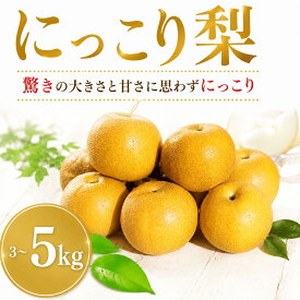 【ふるさと納税】 【先行予約】 梨 にっこり 3kg 5kg なし ナシ 梨 果物 くだもの フルーツ デザート 新鮮 果肉 果汁 fruit nasi ふるうつ ふるーつ 梨 3キロ 5キロ ナシ フルーツ 旬 にっこり梨 ナシ 甘い みずみずしい 2026年産 特産品