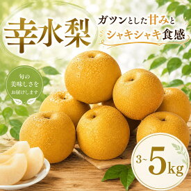 【ふるさと納税】 【先行予約】 梨 幸水 3kg 5kg なし ナシ 梨 幸水 こうすい 幸水梨 果物 くだもの フルーツ デザート 新鮮 果肉 果汁 fruit nasi ふるうつ ふるーつ 梨 3キロ 5キロ ナシ フルーツ 幸水 旬 幸水 梨 ナシ こうすいなし 甘い みずみずしい 産地直送