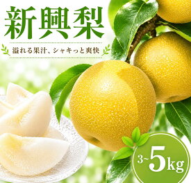 【ふるさと納税】 【先行予約】 梨 新興 3kg 5kg なし ナシ 梨 果物 くだもの フルーツ デザート 新鮮 果肉 果汁 fruit nasi ふるうつ ふるーつ 梨 3キロ 5キロ ナシ フルーツ 旬 新興梨 ナシ 甘い みずみずしい 2026年産 特産品 産地直送 農家直送