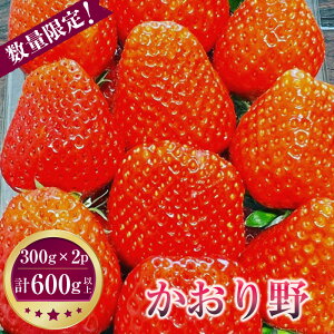 �y�ӂ邳�Ɣ[�Łz ��s�\��m�Ⓦ�s�Y�n�������@300g×2�p�b�N�@�v600g�ȏ�@���̂蒼�� �^ ������ �C�`�S � �Â� �������� ��錧 No.268