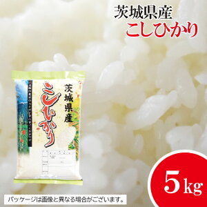 yӂ邳Ɣ[ŁzNo.474 yⓌsYzyߘa7NYāzRVqJ5kg ^ ߘa7N V    R    Y 5kg 5L   S _炩ȐH | S Kbc 