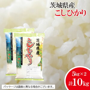 yӂ邳Ɣ[ŁzNo.481 yⓌsYzyߘa7NYāzRVqJ5kg×2 ^ ߘa7N V    R    Y 10kg 10L   S _炩ȐH | S Kbc 