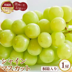 �y�ӂ邳�Ɣ[�Łz�y��s�\��z�V���C���}�X�J�b�g�@�˔�����1�[�y��錧���ʕԗ�i �����݂�����s�z �^ �u�h�E �Ԃǂ� ���� �}�X�J�b�g �t���[�c �ʕ� �����i �M�t�g �������� ��錧 No.59