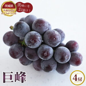 �y�ӂ邳�Ɣ[�Łz�y��s�\��z����@4�[�y��錧���ʕԗ�i �����݂�����s�z �^ �u�h�E �Ԃǂ� ���� �t���[�c �ʕ� �������� ��錧 No.602