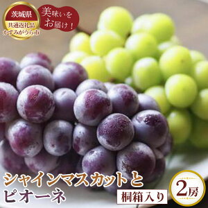 yӂ邳Ɣ[Łzys\z@VC}XJbgƃsI[l@˔2[y錧ʕԗi ݂sz ^ uhE Ԃǂ  sI[l VC}XJbg }XJbg 