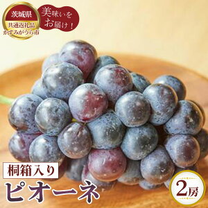 yӂ邳Ɣ[Łzys\z@sI[l@˔2[y錧ʕԗi ݂sz ^ uhE Ԃǂ  t[c ʕ i Mtg  錧 No.610