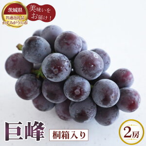 yӂ邳Ɣ[Łzys\z@@˔2[y錧ʕԗi ݂sz ^ uhE Ԃǂ  t[c ʕ i Mtg  錧 No.612