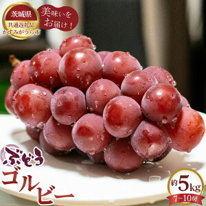 �y�ӂ邳�Ɣ[�Łz�y��s�\��z�Ԃǂ��@�S���r�[�@��5kg�i7�`10�[�j�y��錧���ʕԗ�i �����݂�����s�z �^ �u�h�E �Ԃǂ� ���� �t���[�c �ʕ� �������� ��錧 No.618