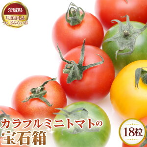 �y�ӂ邳�Ɣ[�Łz�y��s�\��z�J���t���~�j�g�}�g�̕�Δ��@18���y��錧���ʕԗ�i ���΂݂炢�s�z �^ �{ �V�N �Ƃ܂� ��� �������� ��錧 No.622