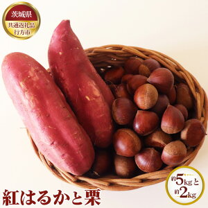 yӂ邳Ɣ[ŁzNo.634 ys\zg͂邩 5kgƌI 2kgy錧ʕԗi ssz ^ H VN ܈ Tc}C  N  ʕ  錧