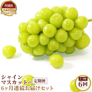 �y�ӂ邳�Ɣ[�Łz�y��s�\��z�V���C���}�X�J�b�g��6�����A�����͂��Z�b�g�@7�`9�[×6��y��錧���ʕԗ�i �����݂�����s�z �^ �u�h�E �Ԃǂ� ���� �}�X�J�b�g �t���[�c �ʕ� ����� ����