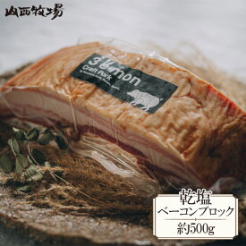 【ふるさと納税】No.712 乾塩ベーコンブロック（約500g） ／ 贅沢 燻製 豚 旨味 しお こだわり 送料無料 茨城県