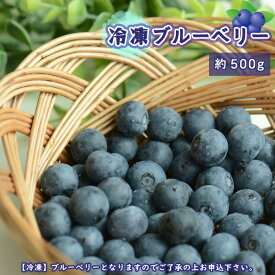 【ふるさと納税】 茨城県坂東市産 冷凍ブルーベリー 約500g【先行予約】 ／ 朝摘み 爽やか 甘み トッピング 送料無料 茨城県 No.720