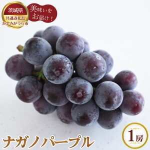 �y�ӂ邳�Ɣ[�Łz�y��s�\��z�i�K�m�p�[�v���@1�[700g�@�����݂�����s�Y�y��錧���ʕԗ�i �����݂�����s�z �^ �{ �V�N ���� �u�h�E �ʕ� �t���[�c �������� ��錧 No.804