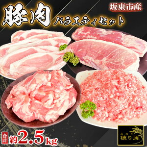 yӂ邳Ɣ[ŁzNo.840 ⓌsY̓ؓoGeBZbg@2.5kg ^ w[X o  Ԑ؂ Ђ Zbg ܖ  錧