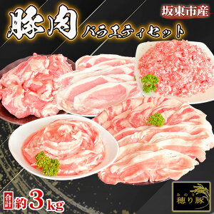 yӂ邳Ɣ[ŁzNo.841 ⓌsY̓ؓoGeBZbg@3kg ^ w[X [X o  Ԑ؂ Ђ ܖ Ԃ  錧