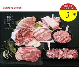 【ふるさと納税】坂東市産の豚肉バラエティセット　約3kg ／ 背ロース 肩ロース バラ もも 小間切れ ひき肉 うま味 ぶた 送料無料 茨城県 No.841