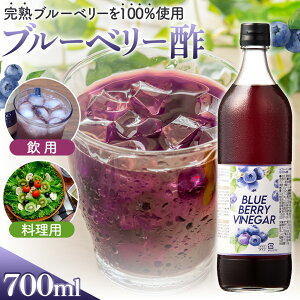 �y�ӂ邳�Ɣ[�Łz���މʎ��|�@�u���[�x���[�r�l�K�[700ml �^ ������ �ʎ��| ���ސ| �w���V�[ ���n �V�� �Òu���y ���p�| �����p�| �J�N�e�� �|�̕� �h���b�V���O �������� ��錧 No.878