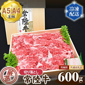 yӂ邳Ɣ[ŁzNo.011 헤 II؂藎Ƃ 600giA5EA4j錧ʕԗi ^ јa   錧