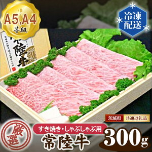 yӂ邳Ɣ[ŁzNo.019 헤 IIĂEԂԗp300giA5EA4j錧ʕԗi ^  јa   錧