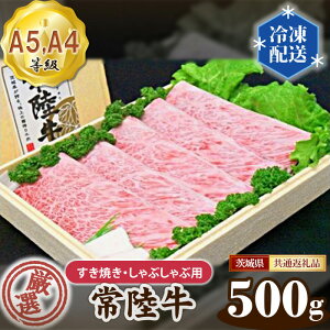 yӂ邳Ɣ[ŁzNo.098 헤 IIĂEԂԗp500giA5EA4j錧ʕԗi ^  јa  錧  錧