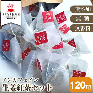 yӂ邳Ɣ[ŁzNo.118 y120TBzmJtFCIgZbg YEE ^ WW[eB[ 傤  錧